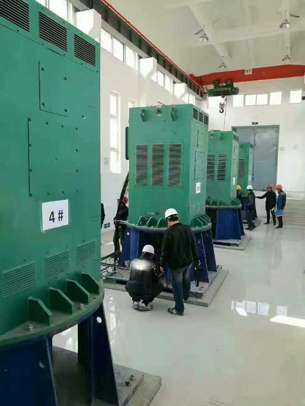 Y4005-6/315KW某污水处理厂使用我厂的立式高压电机安装现场