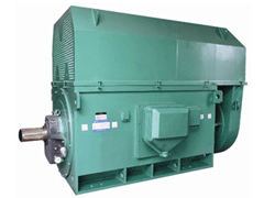 Y4005-6/315KWY系列6KV高压电机